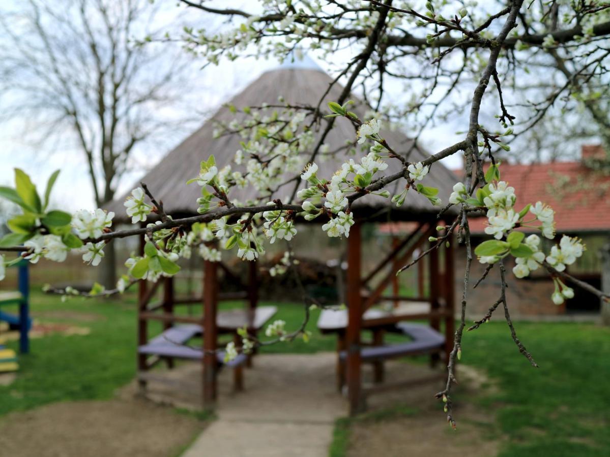 Hotel Lug Osijek Eksteriør billede